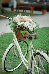 Svatební kolo