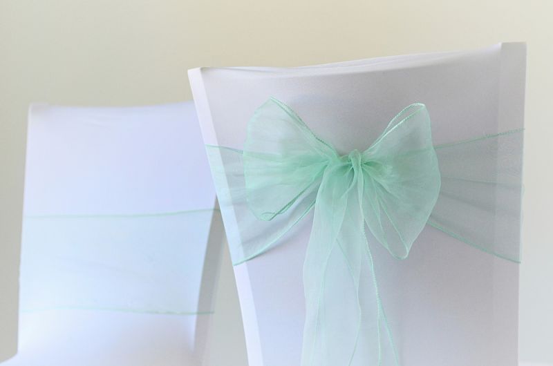  Mašle organzová mint